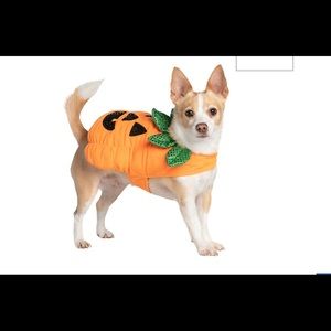 Halloween Pumpkin Dog & Cat Costume